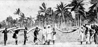 african life african life