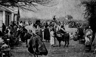 africa, market africa, market