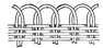 basket, simple open border